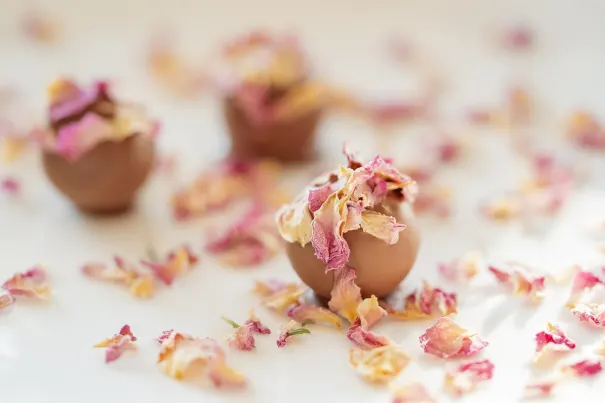 Андромеда Казино Android/iOS приложение